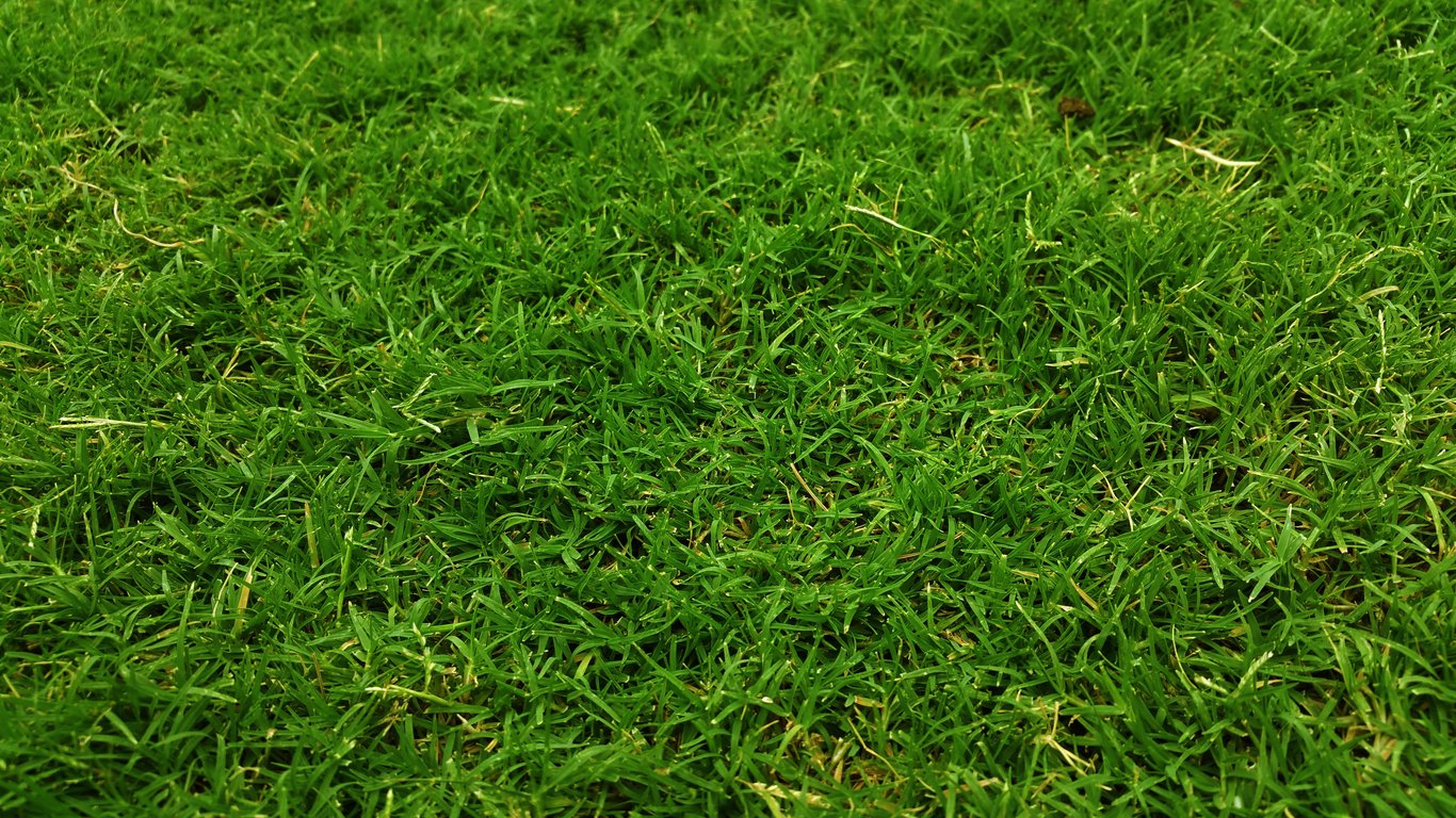 lawn soil testing