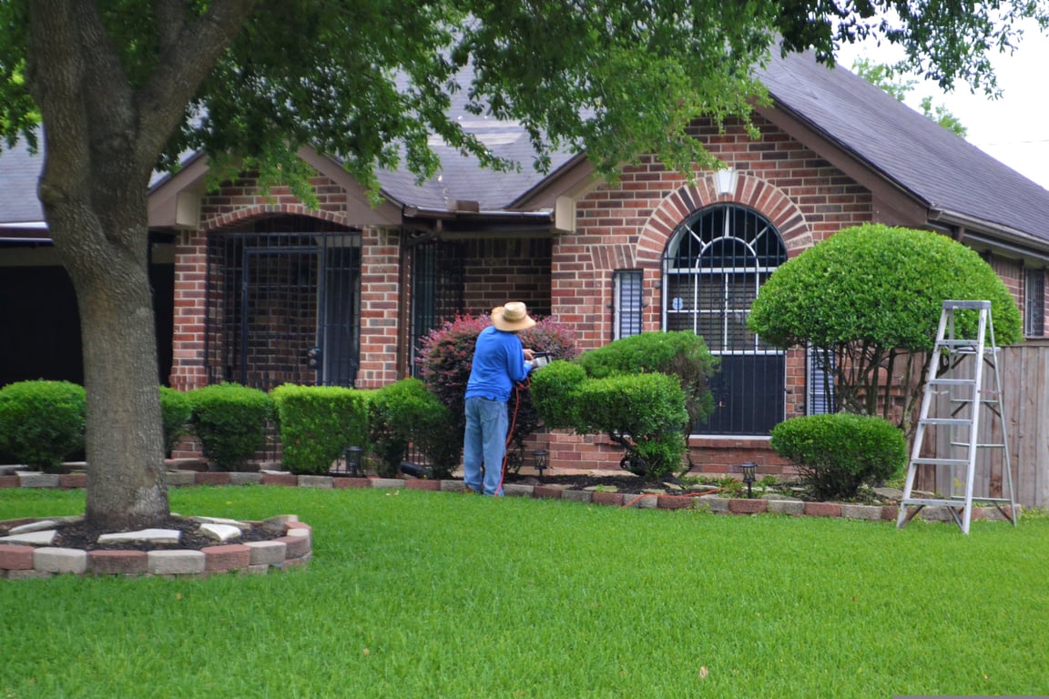 residential lawn mowing