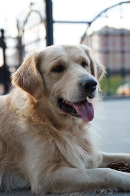 Image describing Unlock the Top Secrets of Gates Cambridge 2025 Now!