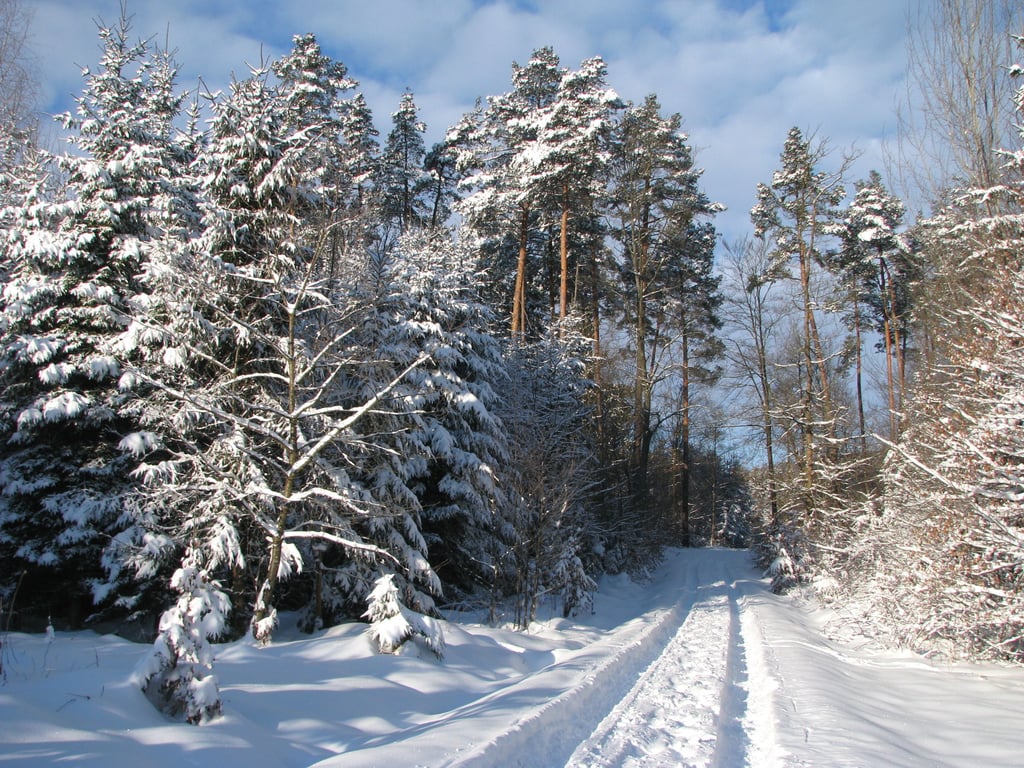 winter tire snow