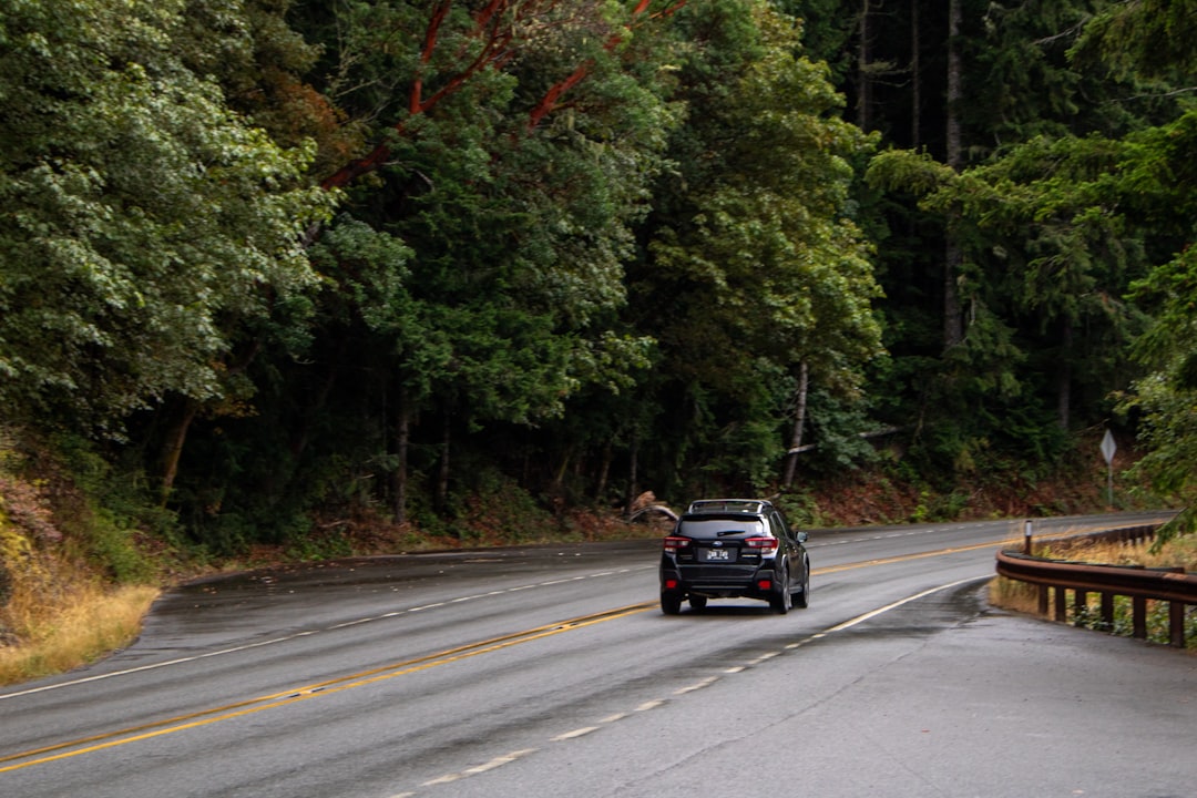Typical Car Insurance Cost: What U.S. Drivers Really Pay and Why