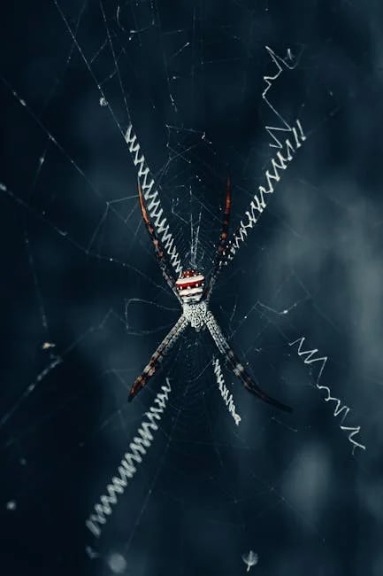 Image describing How to Win MobilityWare Spider Solitaire Fast in 2026?