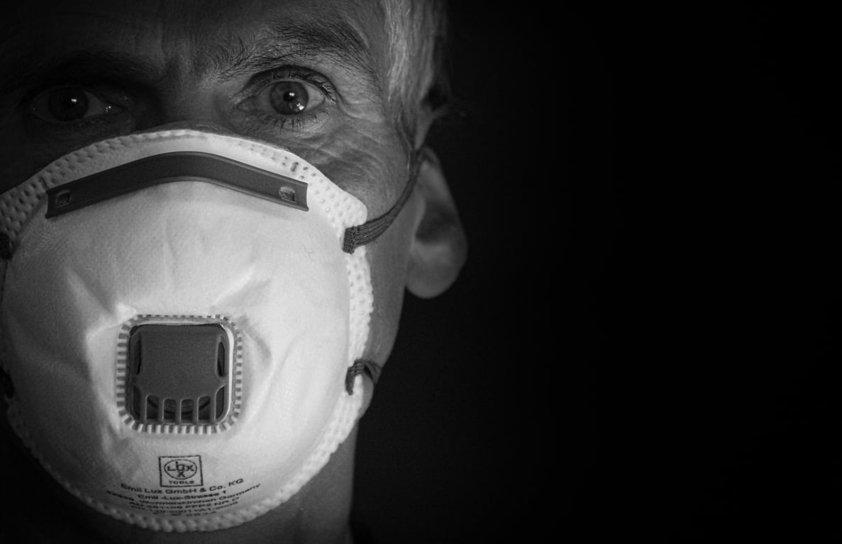 home rodent prevention