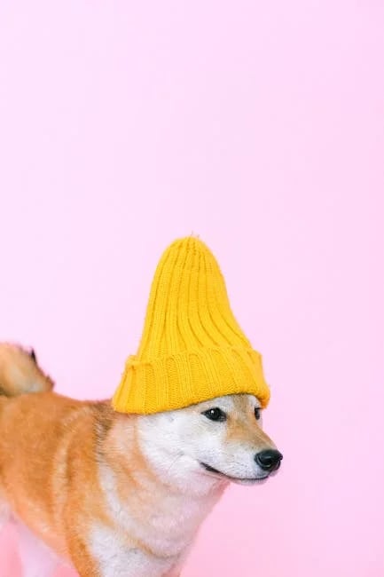 Image describing How to Buy Shiba Inu Coin Top Tips for 2025 Success