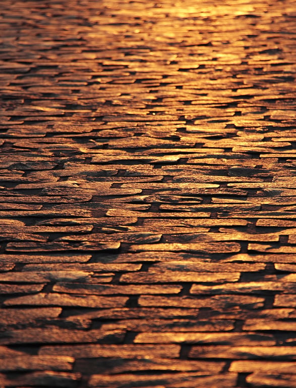 flooring showroom