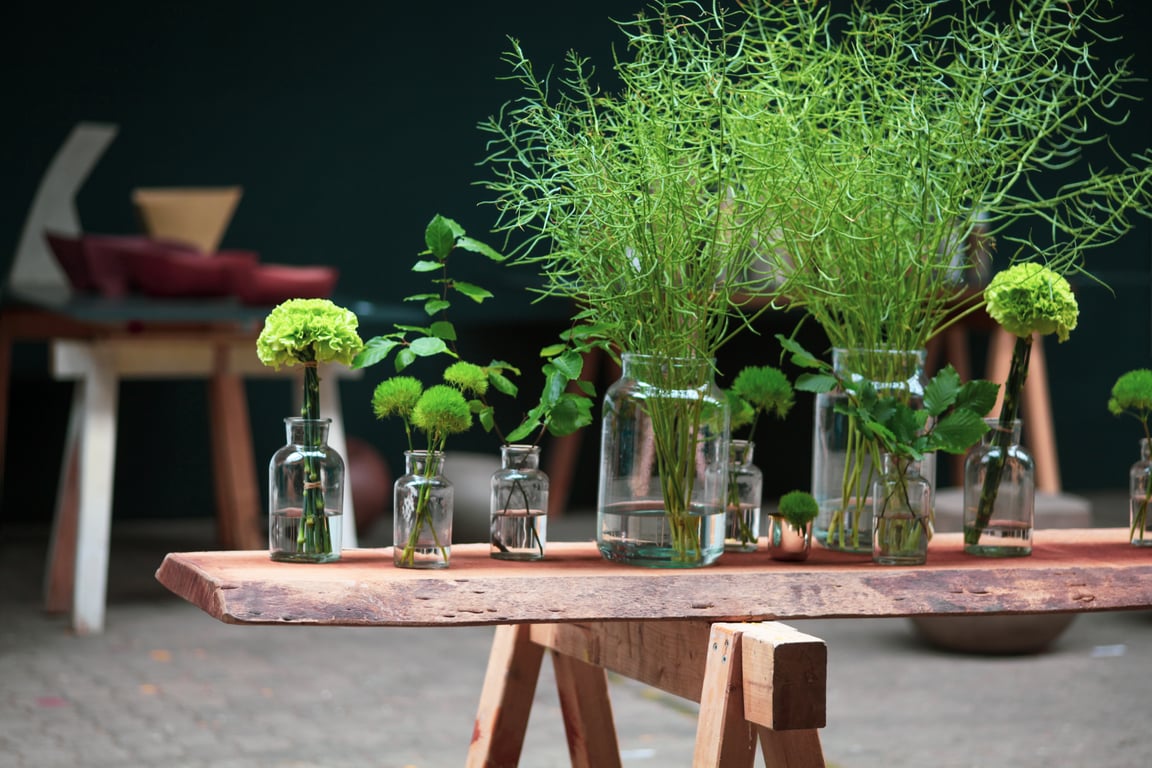 garden designer planting layout