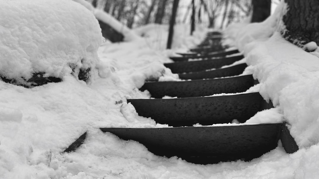 All-Season vs. Winter Tires: The Differences That Matter in Cold, Snowy Conditions