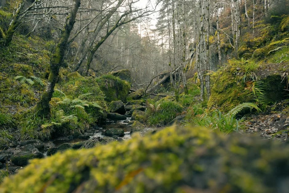 Image describing 2025s Top 7 Best 4K Webcams You Need Now!