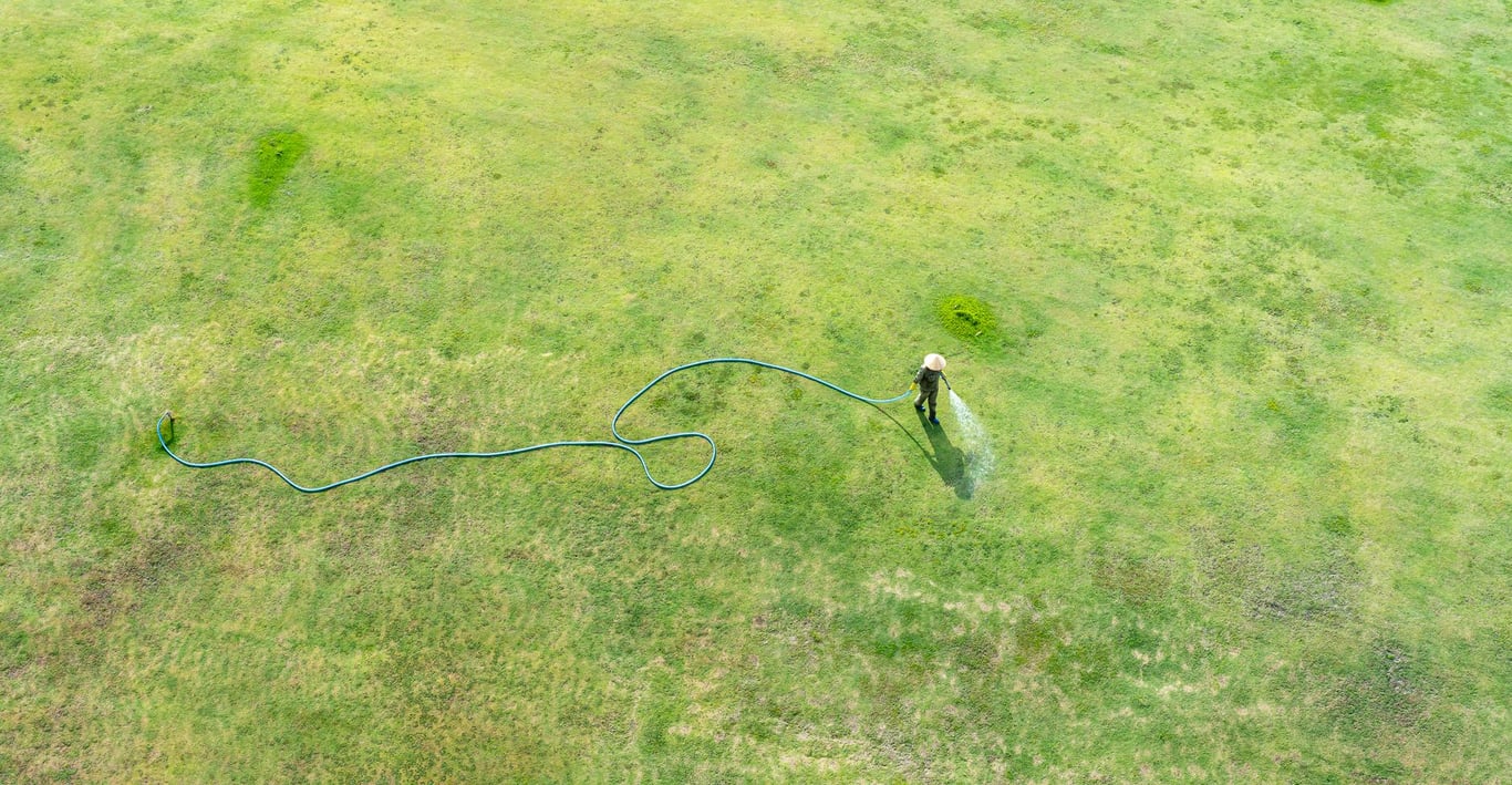 Lawn Care Companies Near Me: How to Compare Services, Pricing, and Reliability