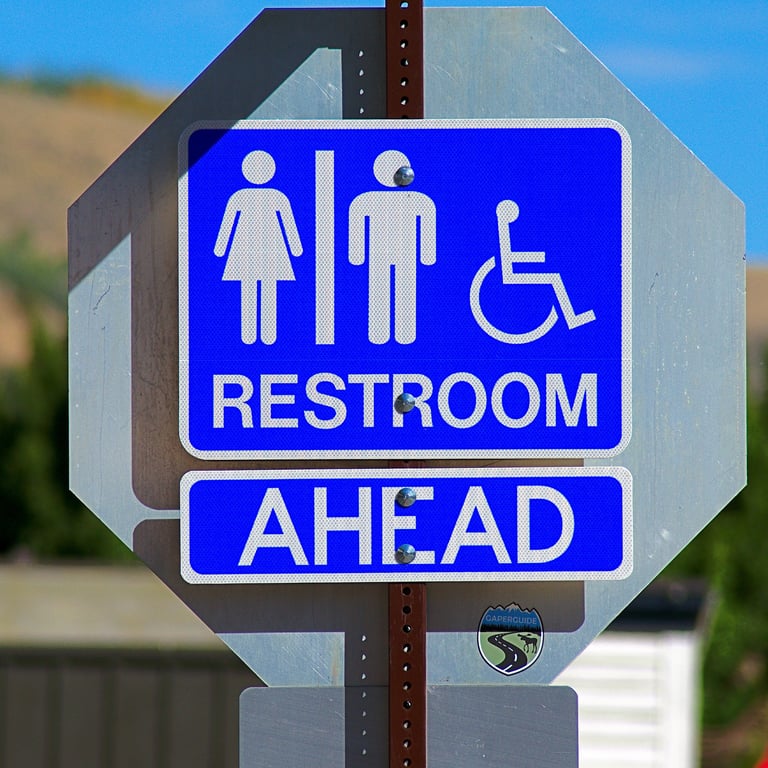 commercial restroom flushometer toilet