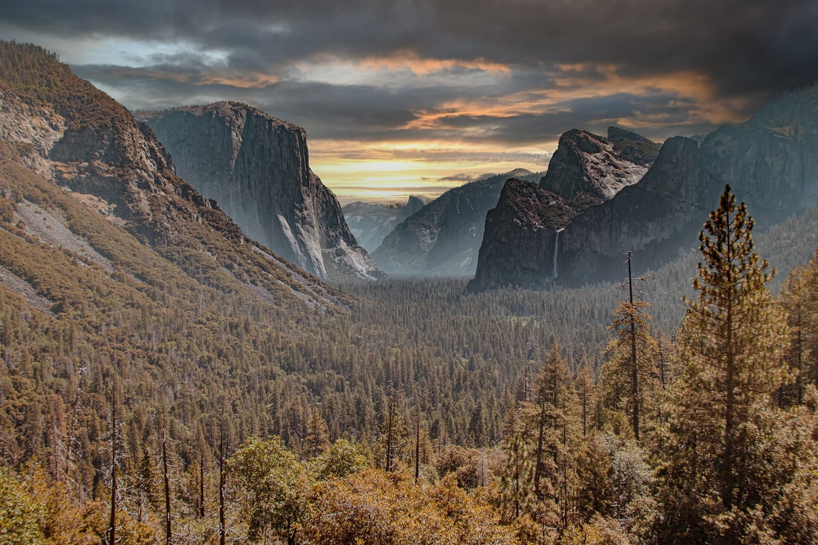 YARTS bus Yosemite