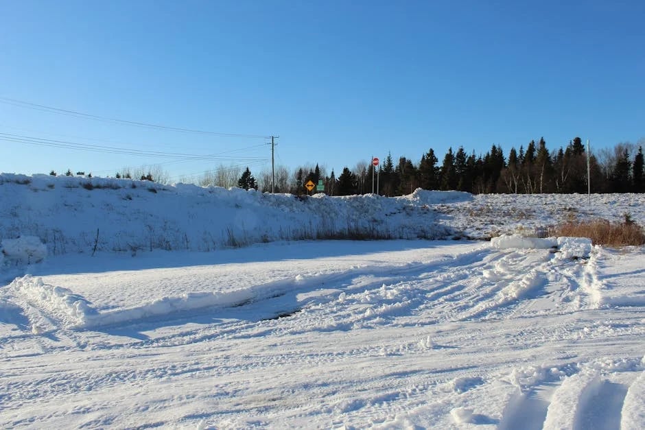 Image describing Top 5 Brokerages You Need to Know in 2025 Now!