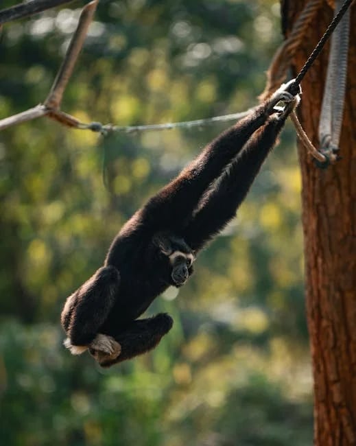 Image describing How to Use SurveyMonkey Free in 2026 7 Proven Hacks?