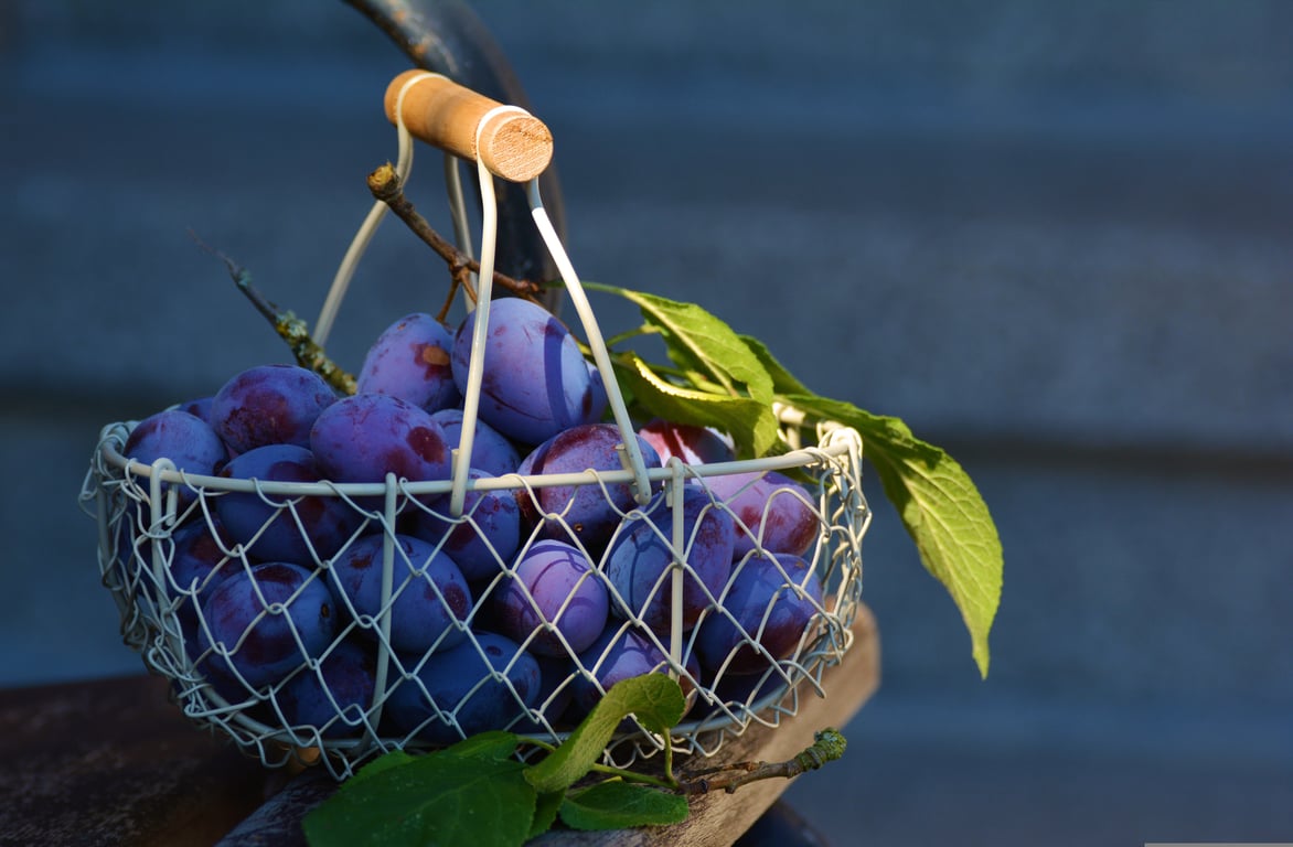 food trailer