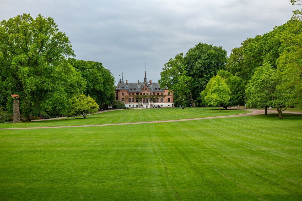 Lawn Repair Near Me: How to Choose the Right Local Service for Lasting Results