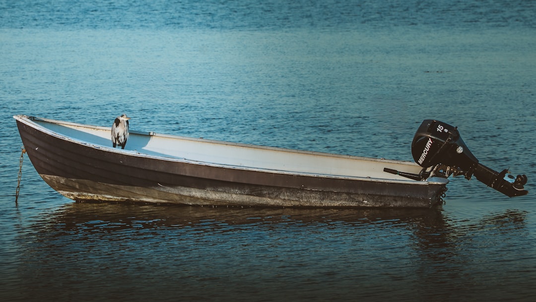 Diesel Outboard Engines: A Practical Guide to Costs, Benefits, and Trade-Offs