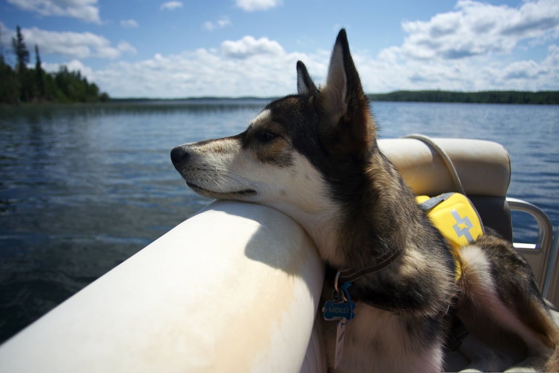 pontoon boat on inland lake
