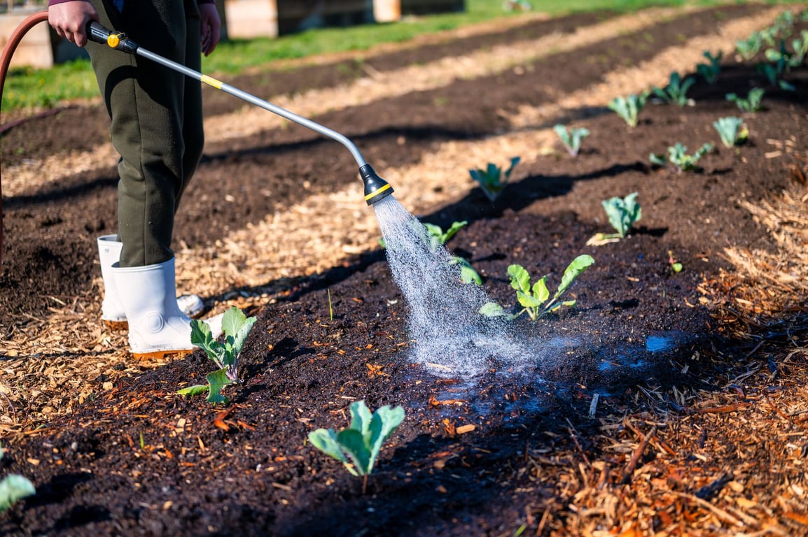 Lawn Sprinkler Installation Near Me: How to Compare Local Irrigation Pros