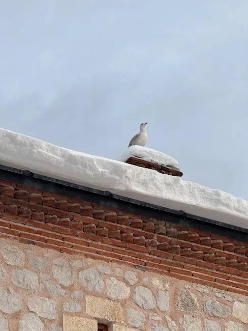 Image describing Top 5 Brokerages You Need to Know About in 2025!