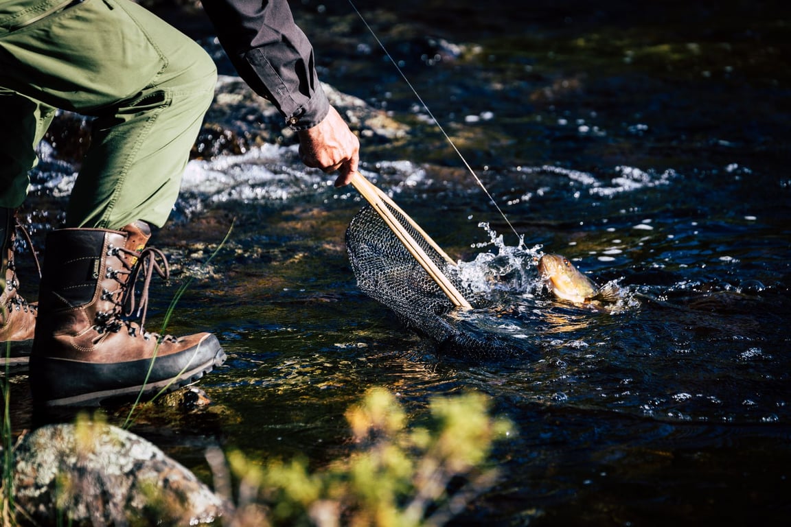 Trout Fishing Near Me: How to Find Better Local Waters and Plan a Successful Trip