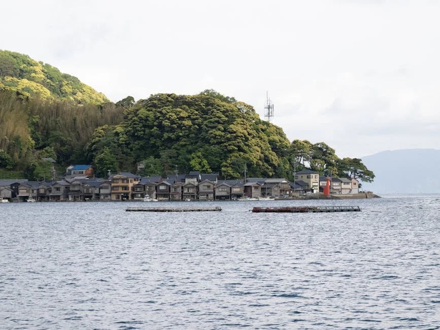 Image describing How to Get the Best Senior Life Ins in 2026—Fast?