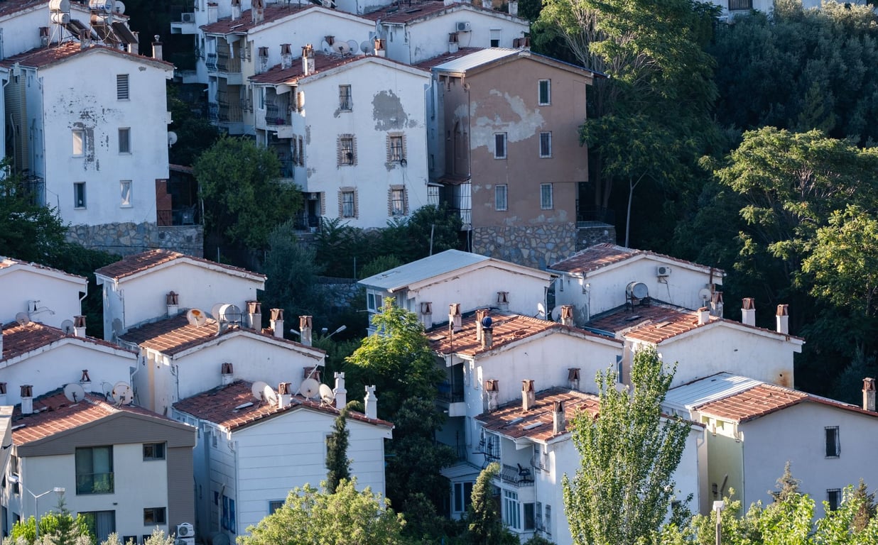 Termite Prevention Near Me: How to Choose Effective Local Home Protection