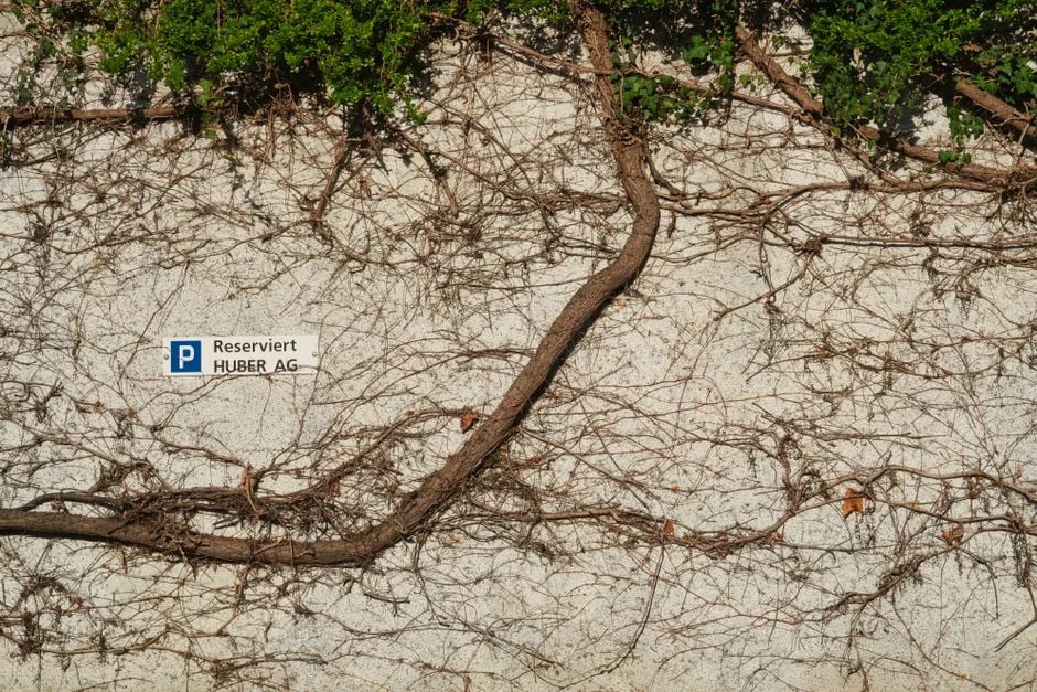 Image describing Chase Reserve vs Amex Platinum Best Pick in 2026?