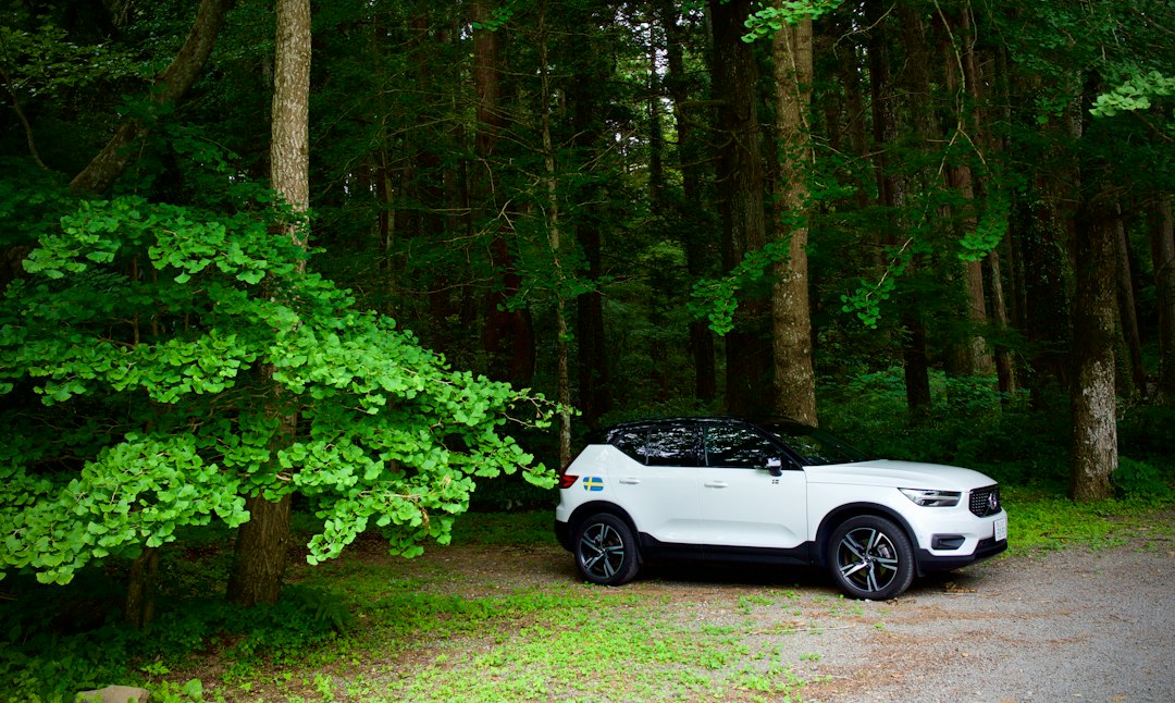 Volvo Reliability: The Real Cost of Long-Term Ownership