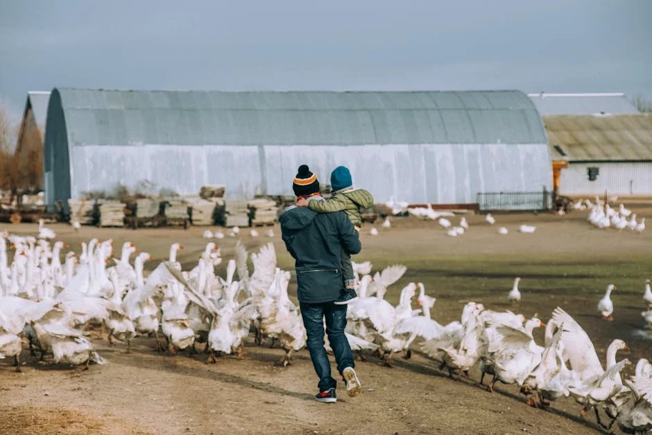 Image describing How to Get the Best Farm Family Life Insurance in 2026?