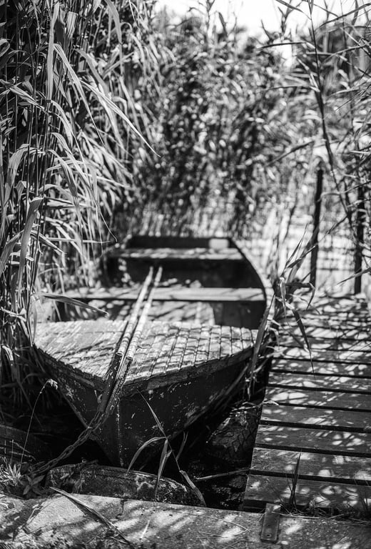 shore fishing pond