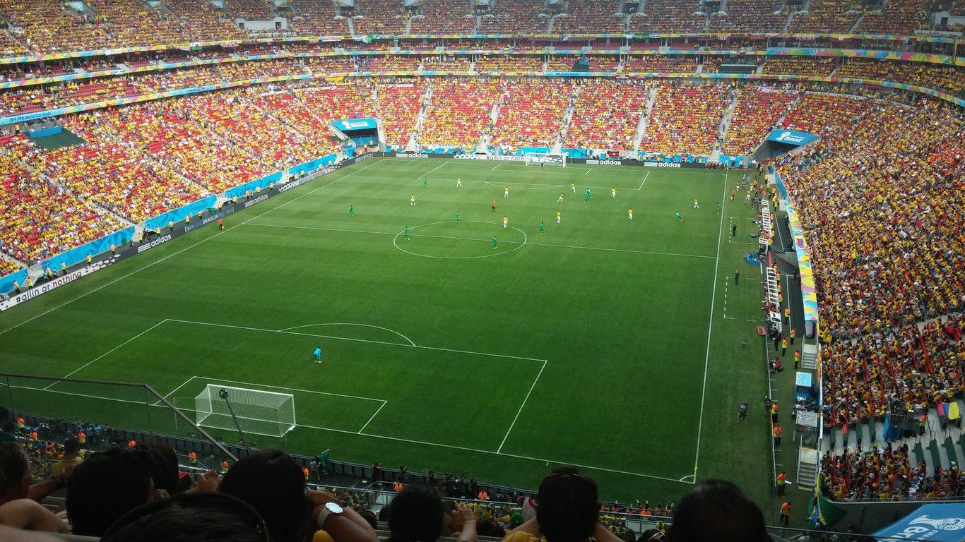 World Cup stadium crowd