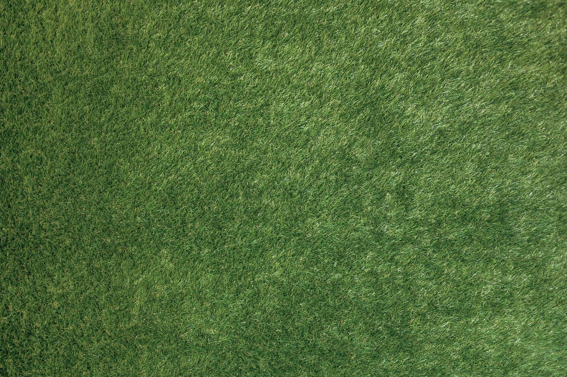 Green Lawn Care: Practical Steps for a Healthier, Lower-Impact Yard