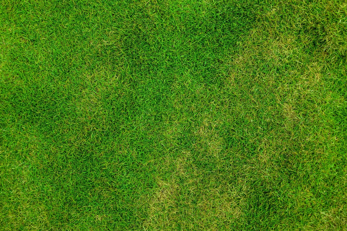 lawn aeration