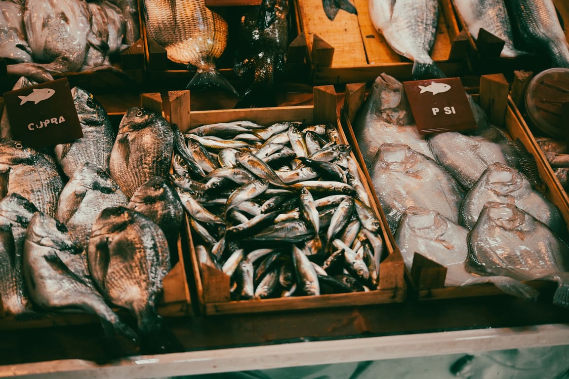 fish-based dog food