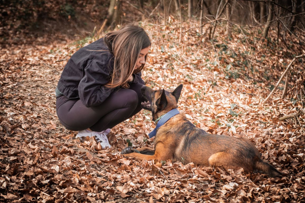 Dog Obedience Classes Near Me: How to Choose the Right Local Trainer