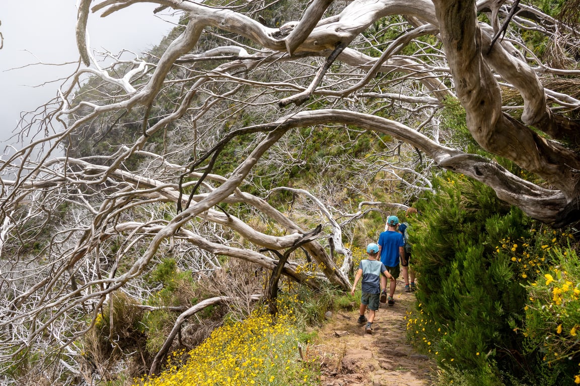 family hiking trail