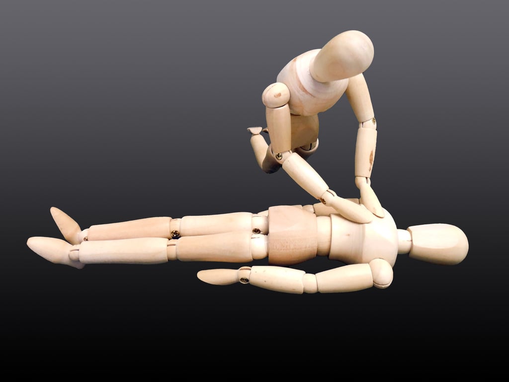 wilderness first aid training