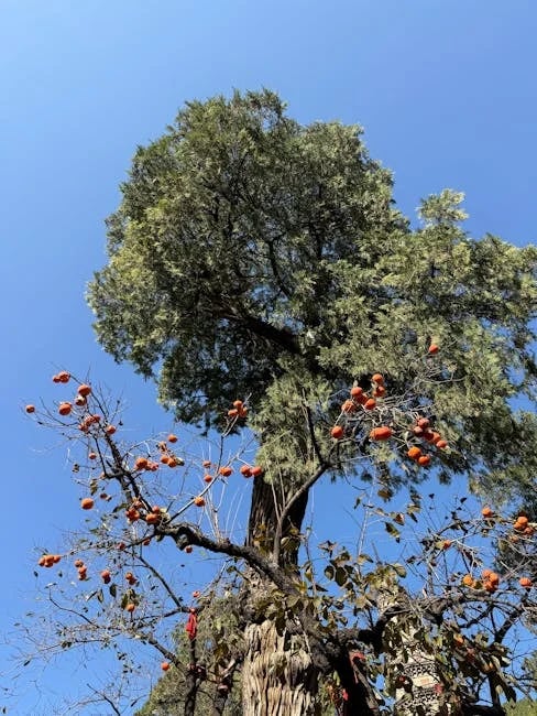 Image describing Top 5 Ways to Score Cheap Air Jordans in 2025!