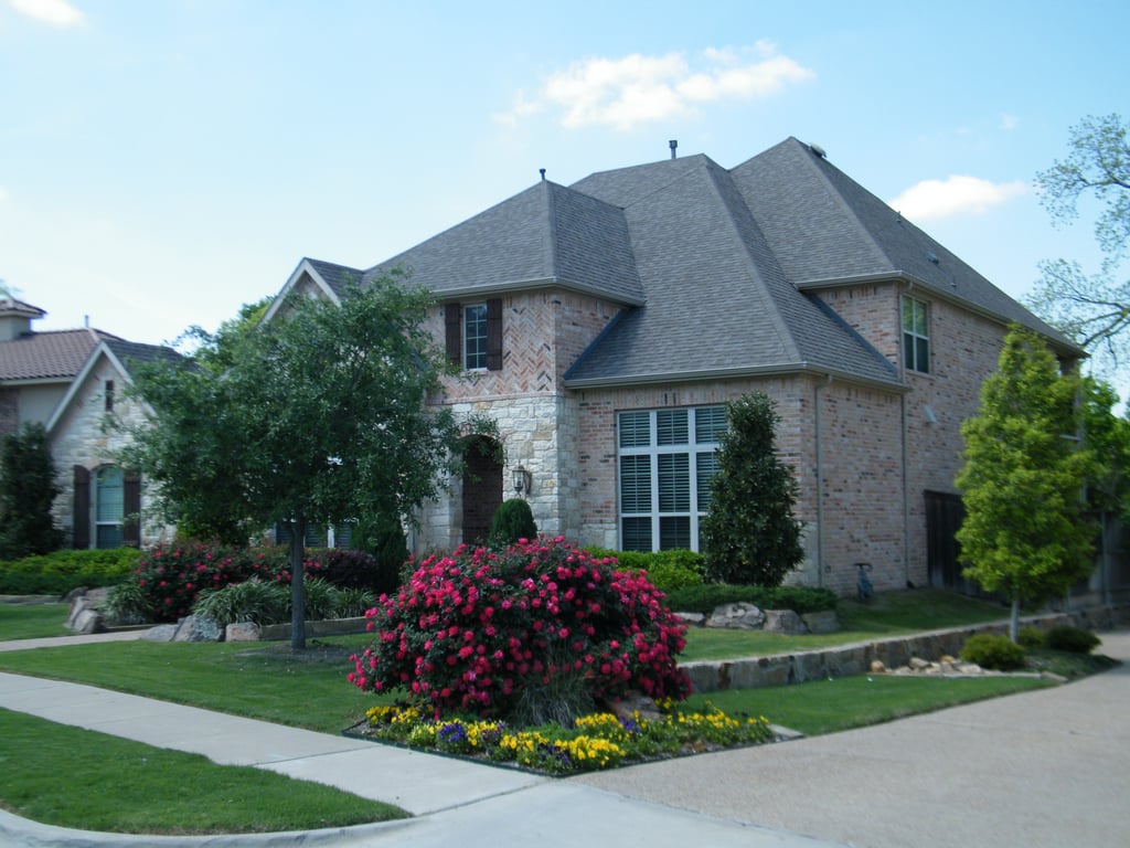 residential landscaped yard