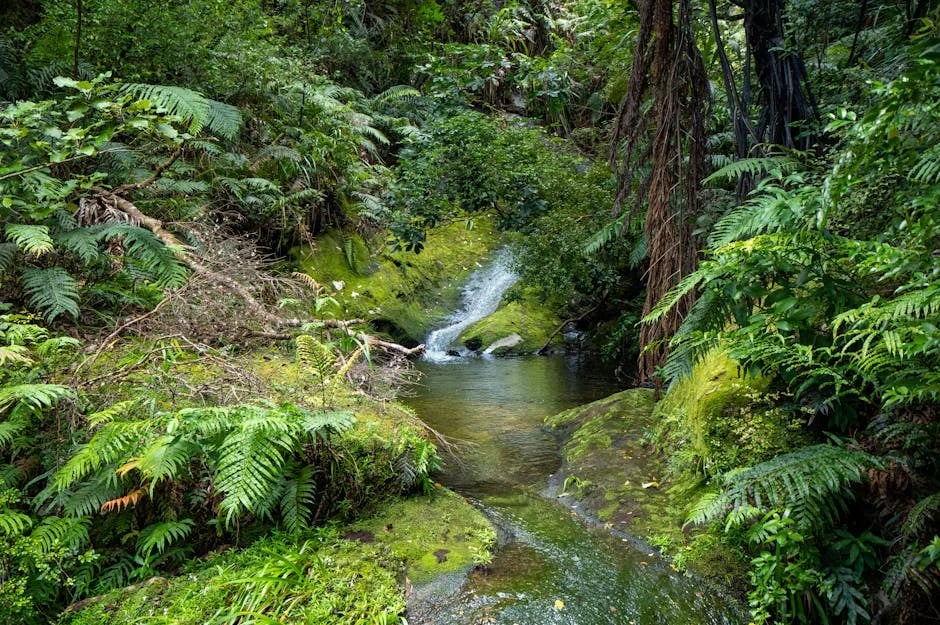 Image describing Top 5 Brokerages You Need to Know About in 2025!