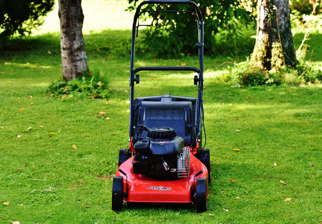 lawn mowing service