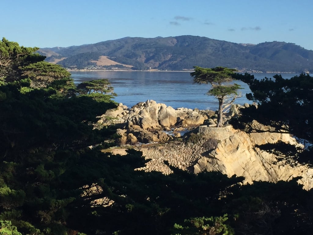 17-Mile Drive California coast