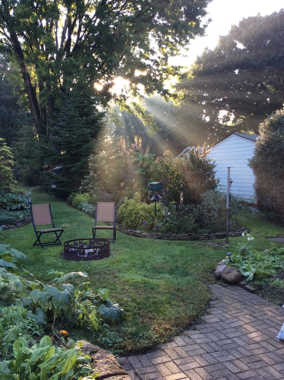 backyard patio landscaping