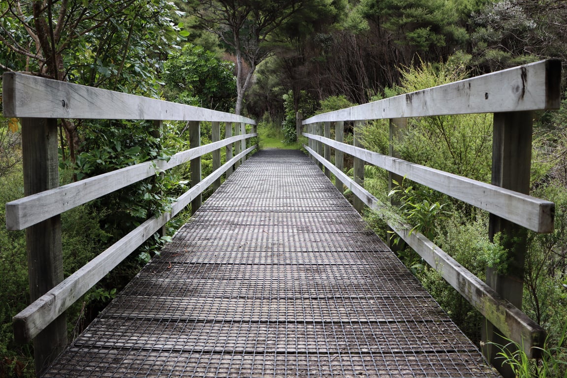 New Zealand walking track