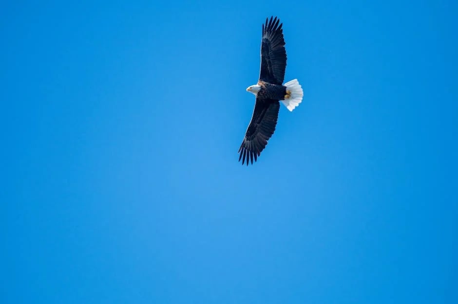 Image describing Discover the Best Free HELOC Calculator of 2025 Now!