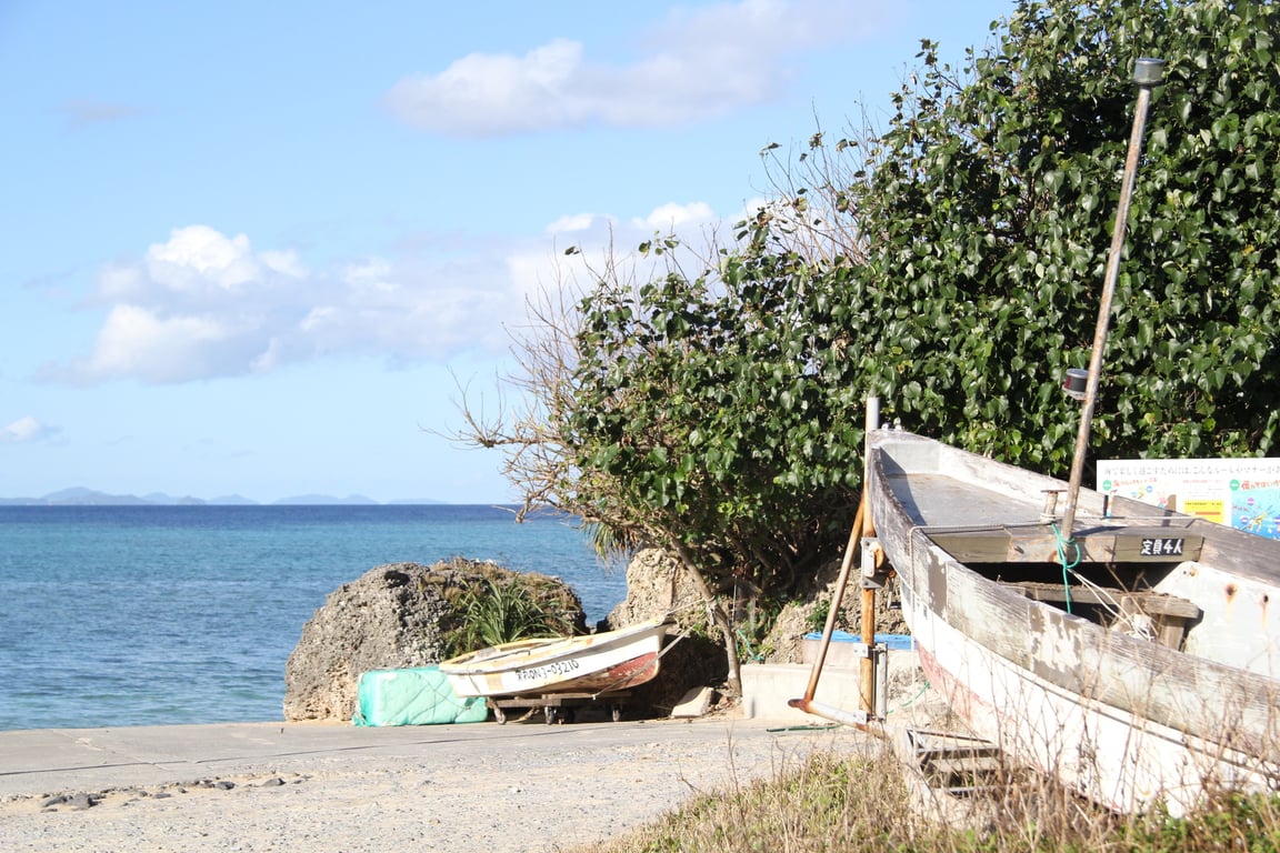 fish and ski boat