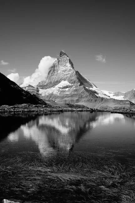 Image describing Grants vs Loans Discover the Best Option for 2025!