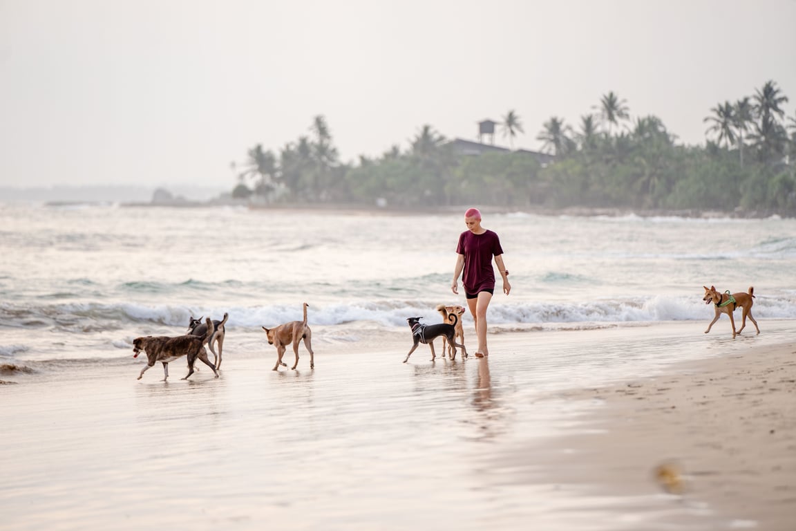 coastal walk