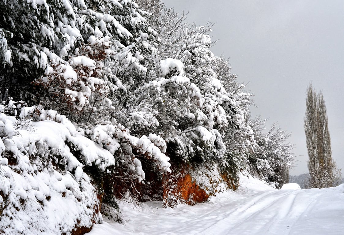 winter tires on snowy road