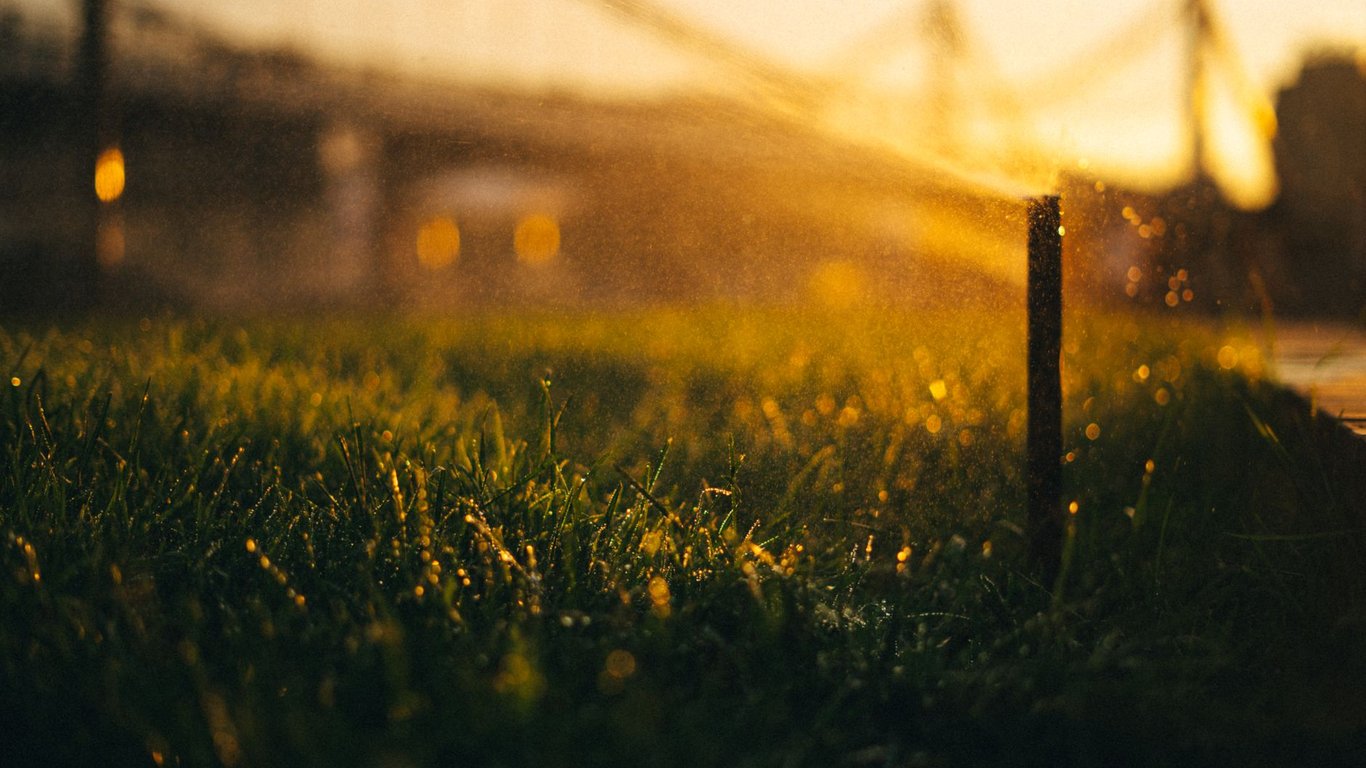 Affordable Lawn Care Near Me: How to Compare Local Services Without Overpaying